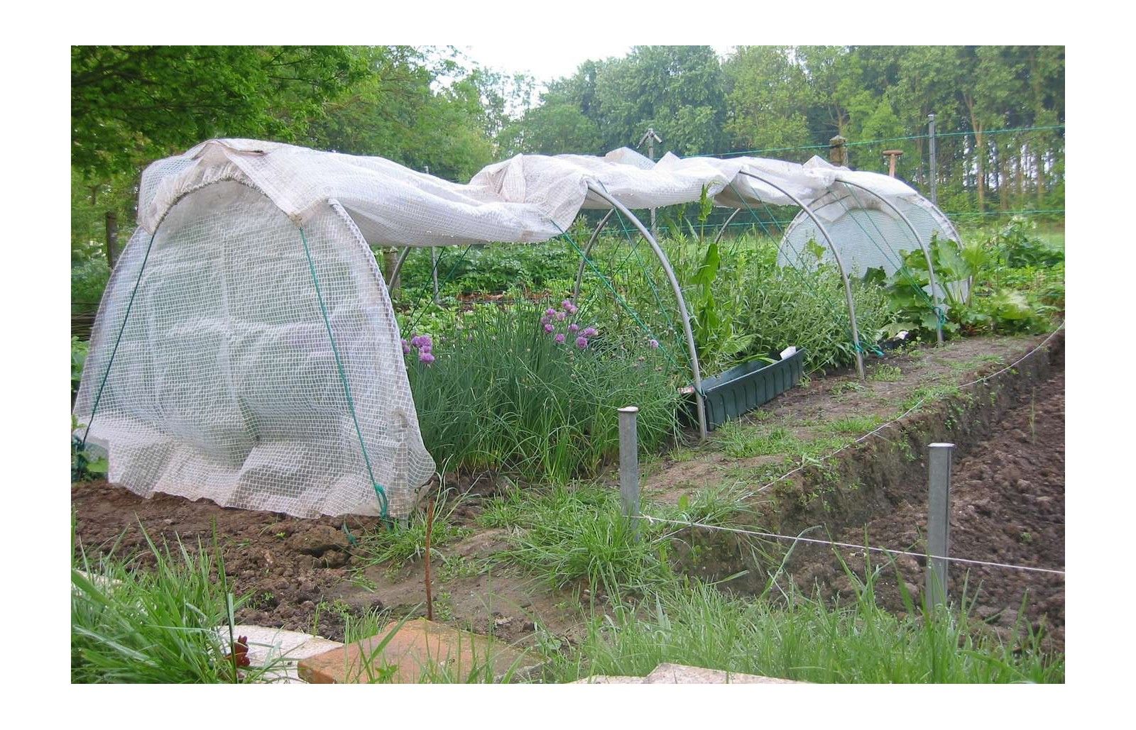 Oregistro.com = montage mini serre de jardin ~ idées de conception ...