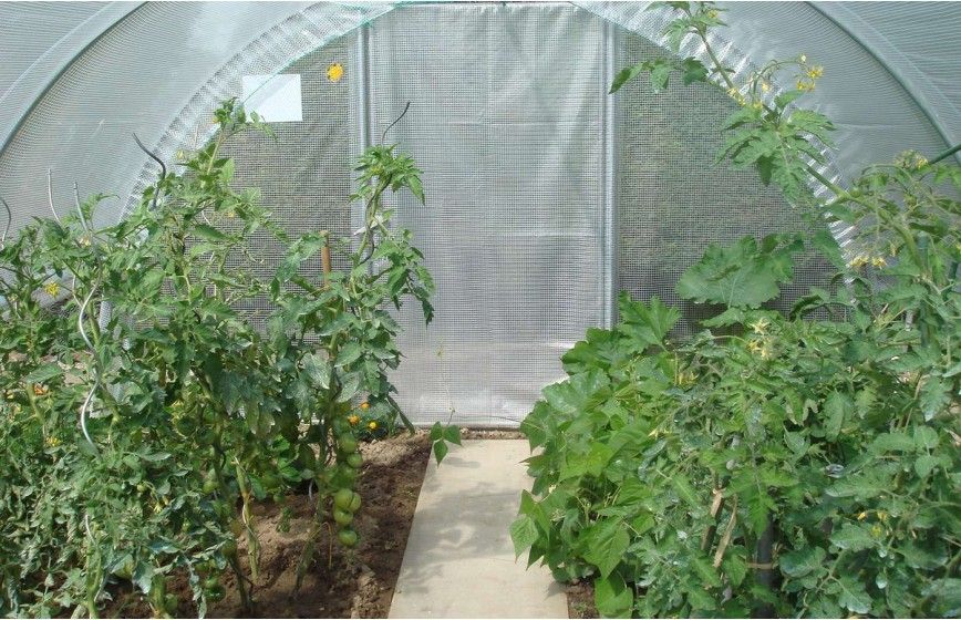 SERRE MINI 3m70 x 4m50 SERRE MINI 3m70 x 4m50