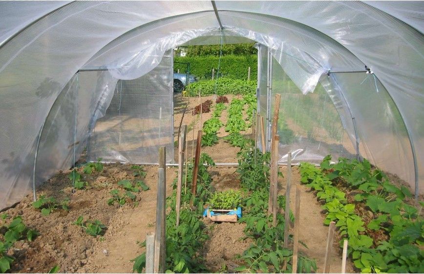 SERRE ABRI LEGUMES 4m00 x 8m00 SERRE ABRI LEGUMES 4m00 x 8m00