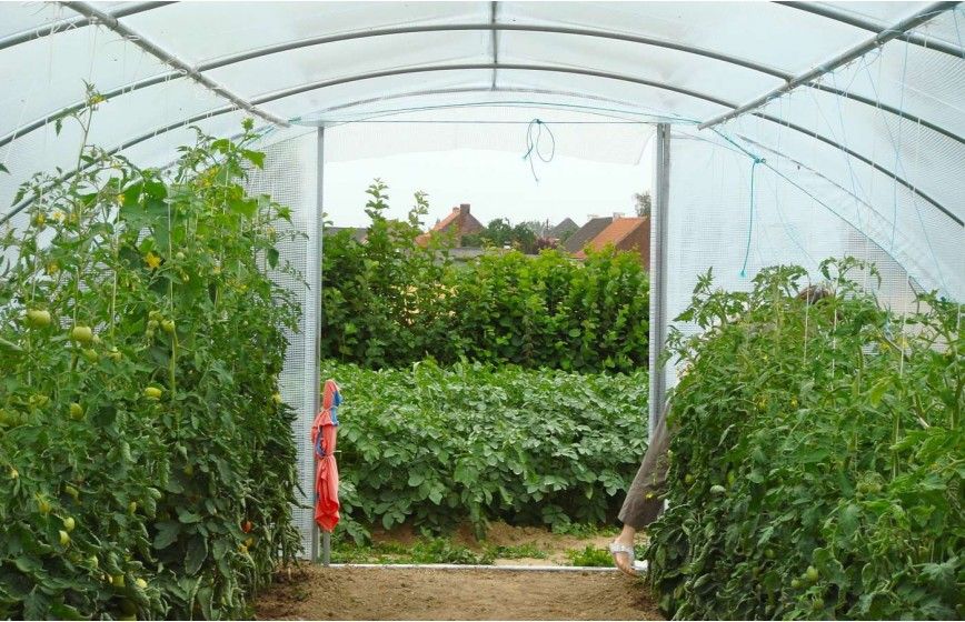 SERRE SUPER 5m80 x 6m00 SERRE SUPER 5m80 x 6m00