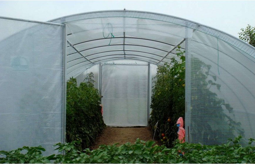 SERRE SUPER 5m80 x 9m00 SERRE SUPER 5m80 x 9m00