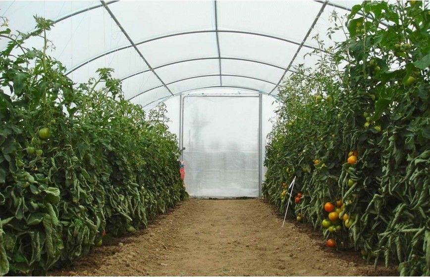 SERRE SUPER 5m80 x 12m00 SERRE SUPER 5m80 x 12m00