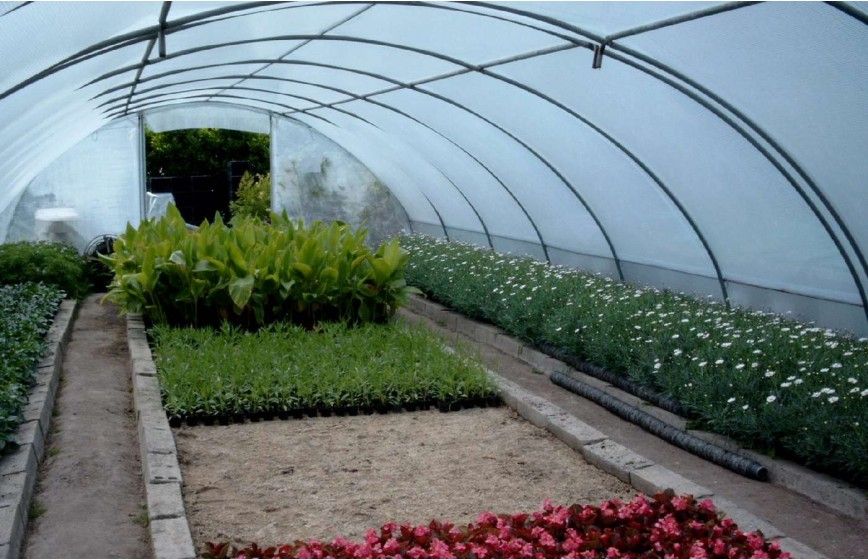 SERRE BRETAGNE 5m80 x 24m00 SERRE BRETAGNE 5m80 x 24m00