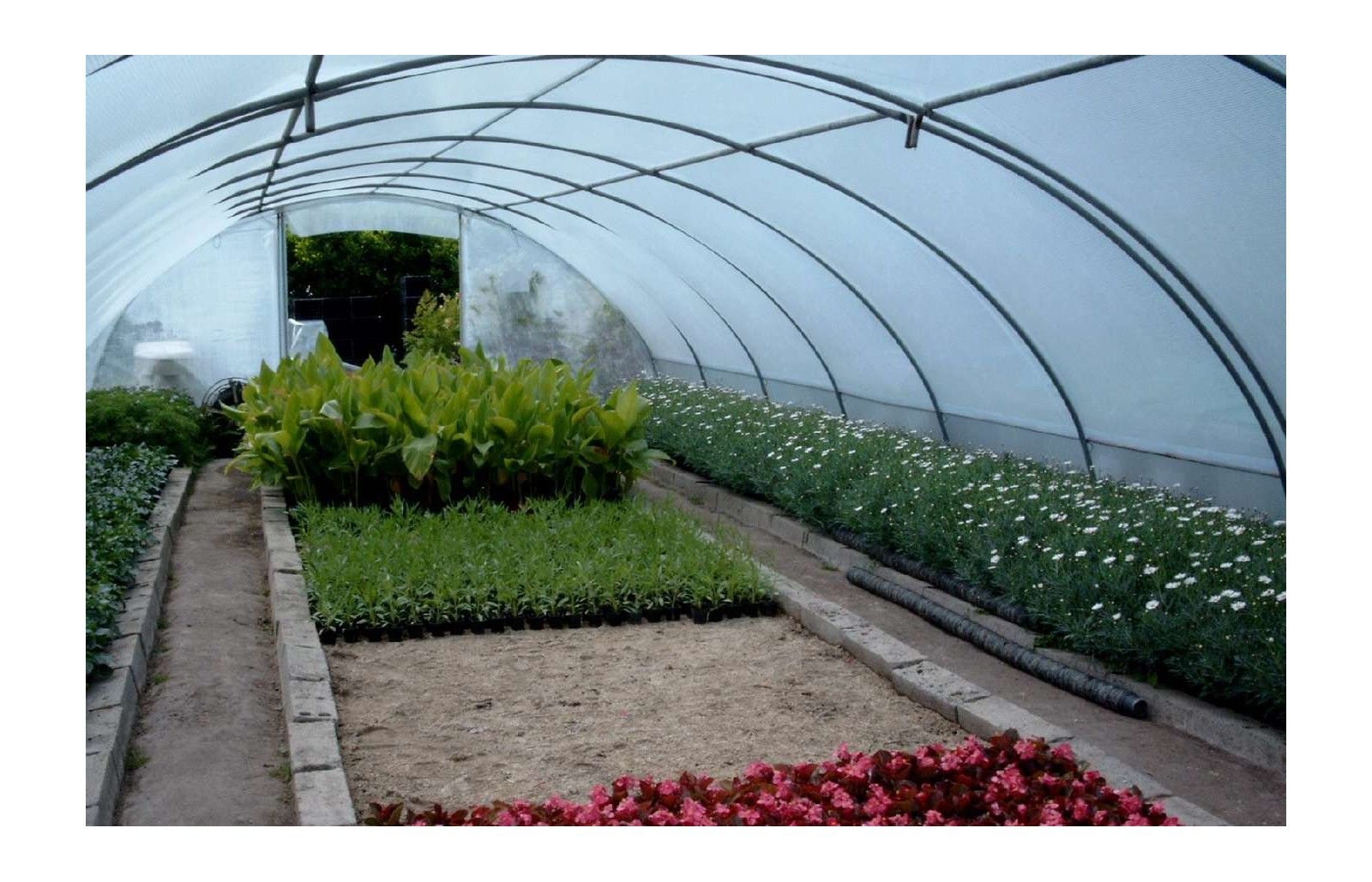 SERRE BRETAGNE 5m80 x 24m00 SERRES