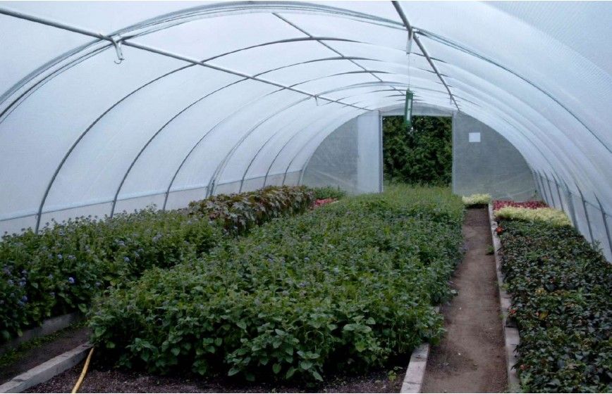 SERRE BRETAGNE 5m80 x 36m00 SERRE BRETAGNE 5m80 x 36m00