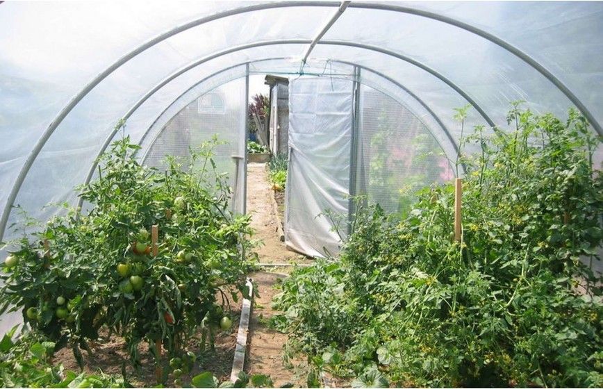 SERRE OPTIMUM 3m70 x 7m50 SERRE OPTIMUM 3m70 x 7m50