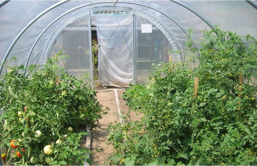 SERRE OPTIMUM 3m70 x 12m00 SERRE OPTIMUM 3m70 x 12m00