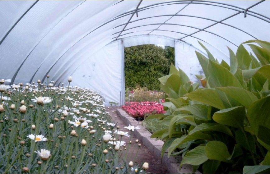 SERRE BRETAGNE 5m80 x 24m00 SERRE BRETAGNE 5m80 x 24m00