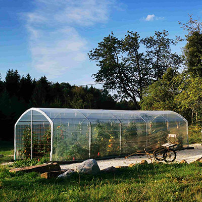Abri tomates en polyéthylène avec brouette