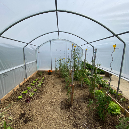 Polyéthylène thermique diffusant intérieur