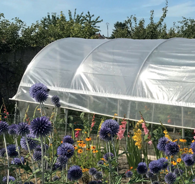 Serre de jardin avec fleurs