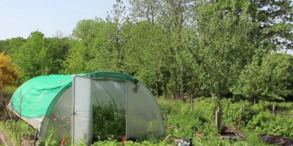 Comment aménager l'intérieur d'une serre en permaculture ?