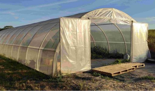 Cultiver grâce à une serre maraîchère
