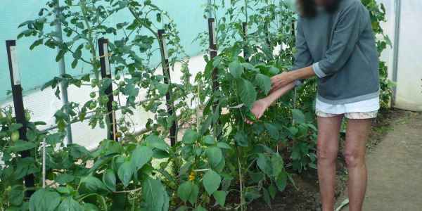 DES PROPRIÉTAIRES JARDINIERS HEUREUX !