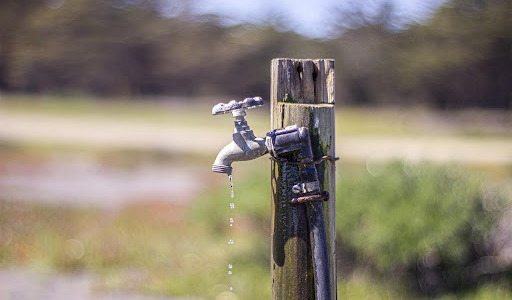 Arrosage goutte-à-goutte avec une bouteille : comment faire ?