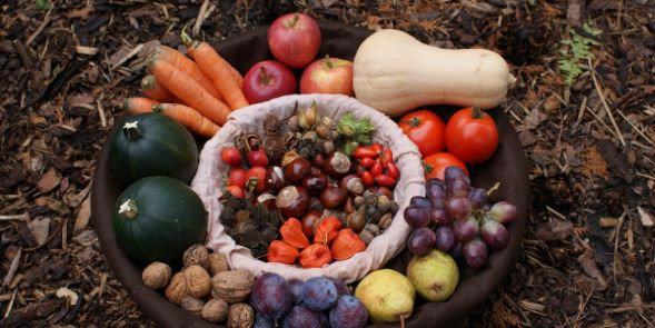 Légumes d’automne : préparez votre potager pour la fin d’année